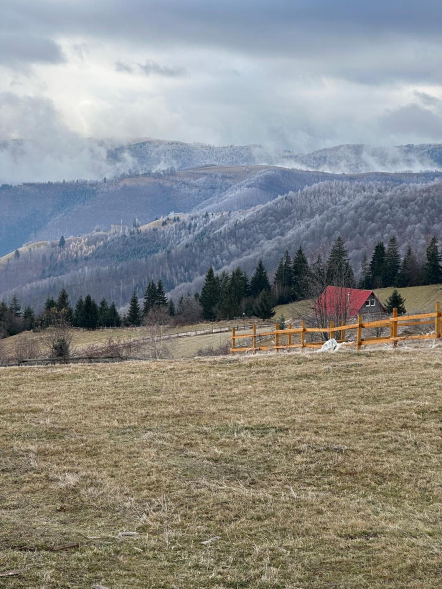 Вилла Mariseltinyhouse Экстерьер фото